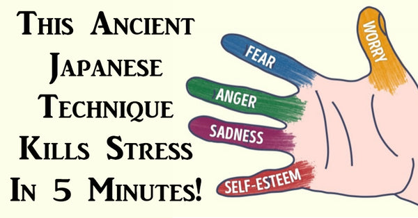 This Ancient Japanese Technique Kills Stress In 5 Minutes! - David 