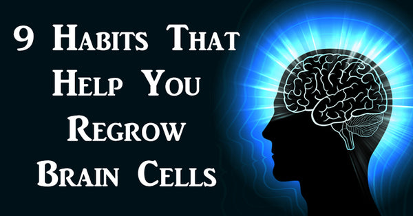 9 Habits That Help You Regrow Brain Cells   David Avocado Wolfe