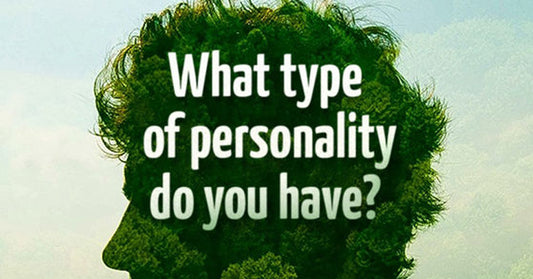 10 personality FI