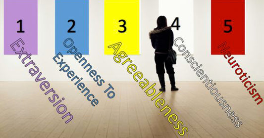 5 personality FI