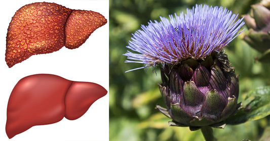 Artichokes: 7 Health Benefits