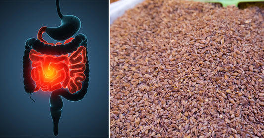 Bulgur Wheat: 7 Health Benefits