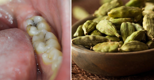 cardamom benefits FI