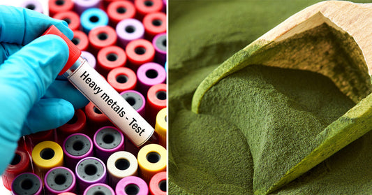 Chlorella: 7 Benefits & Uses