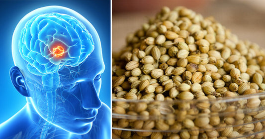 Coriander Seeds: 8 Health Benefits