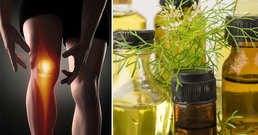Coriander Essential Oil: 10 Benefits & Uses
