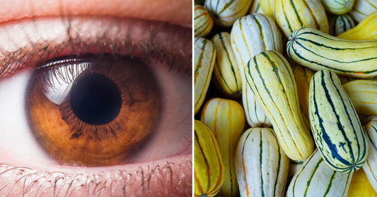 Delicata Squash: 6 Benefits & Uses