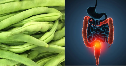 Green Beans: 7 Health Benefits