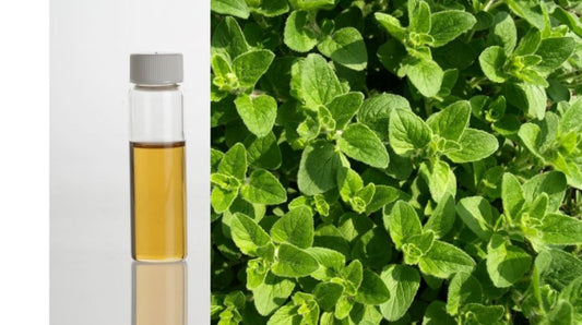 K-002 oregano oil FI