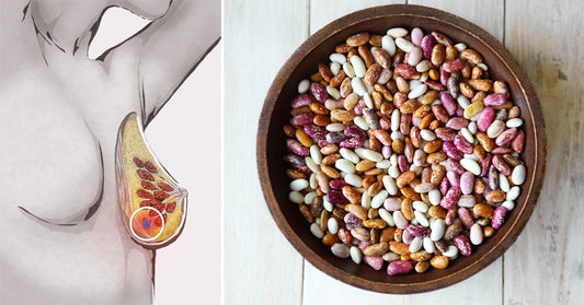 Pinto Beans: 5 Benefits & Uses