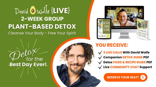 Plant Based Detox Group Fall 2024 FI