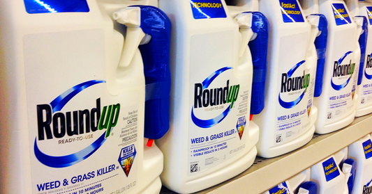 BREAKING: Monsanto's Roundup BANNED In France