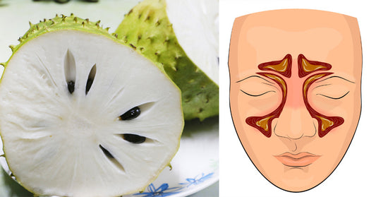 Soursop: 5 Benefits & Uses