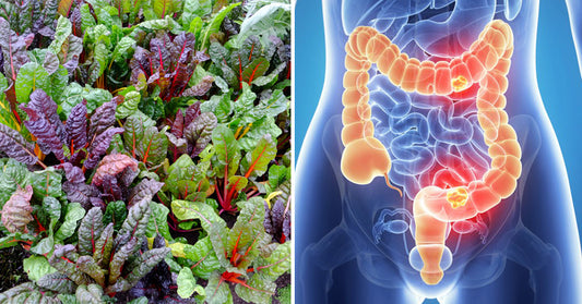 Swiss chard health benefits FI