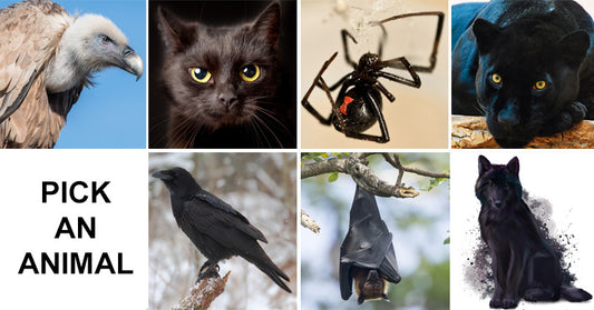 Pick An Animal To Reveal The Hidden Dark Side Of Your Personality