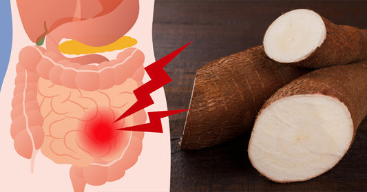 6 Arrowroot Benefits & Uses