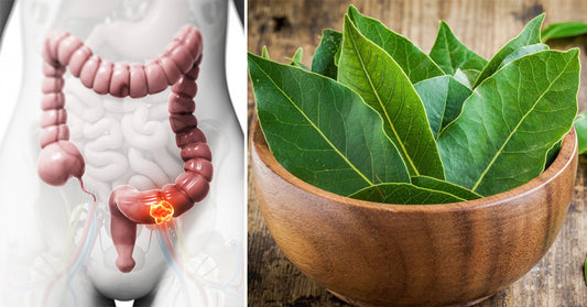 Benefits of Bay Leaf: 5 Uses To Consider