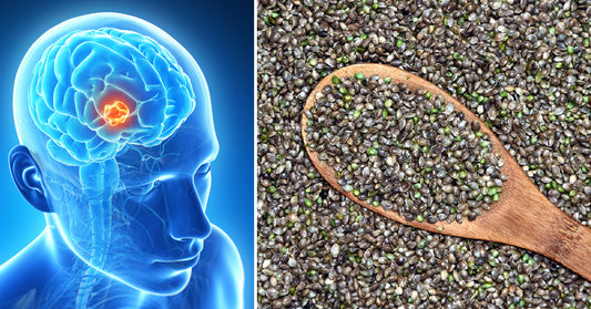 7 Benefits Of Hemp Seeds