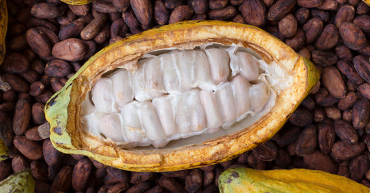 Cacao Beans: 5 Health Benefits