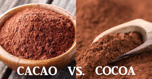 cacao cocoa FI