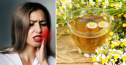 9 Chamomile Benefits & Uses