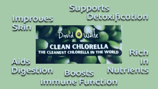 Chlorella: 10 Best Benefits Ready For You To Experience