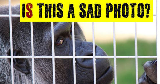 emotional photo FI