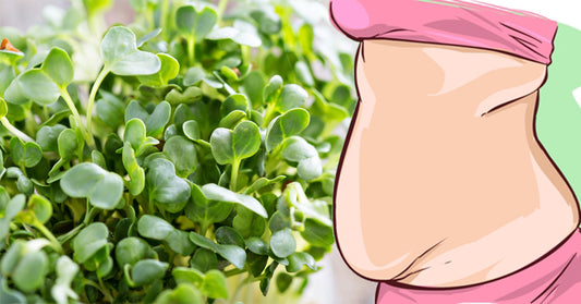 enzyme food hormones FI