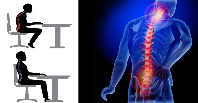 exercises reverse spine damage FI
