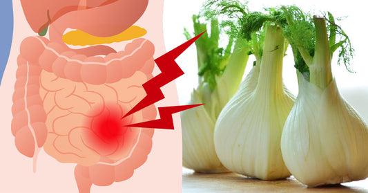 Fennel: 10 Health Benefits