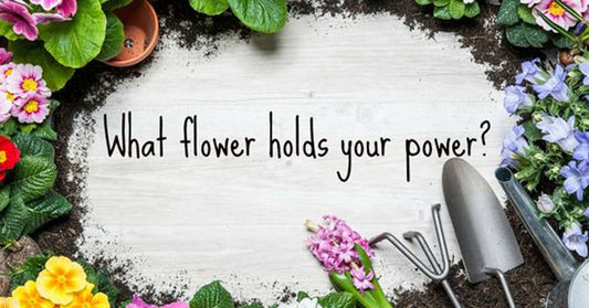 flower personality FI