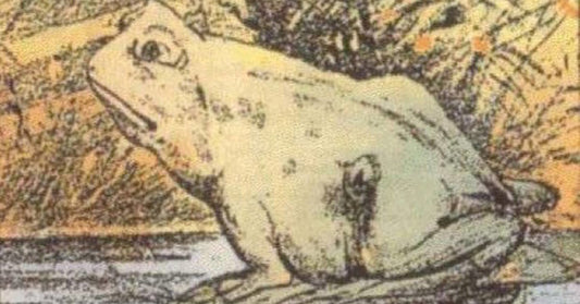 frog horse FI