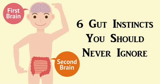 gut instincts FI