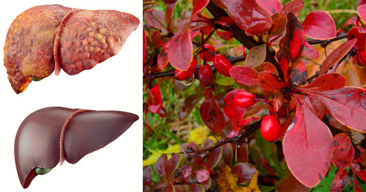 6 Health Benefits Of Barberry