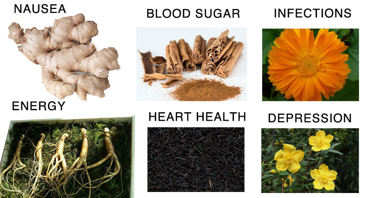 herbs-heal-body