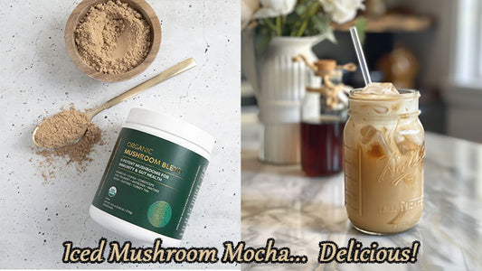 iced mushroom mocha FI