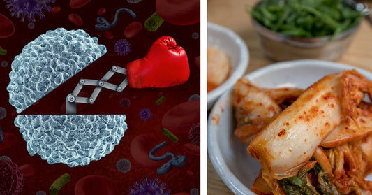 Kimchi: 5 Benefits & Uses