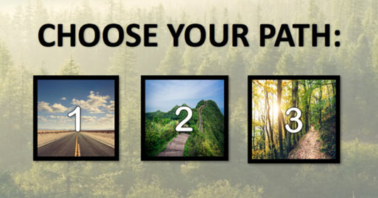 life path FI