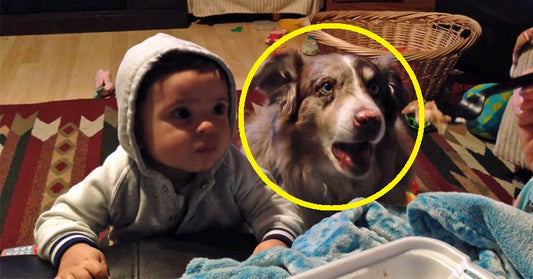 Mom Tries To Get Baby To Say 'Mama' But Dog's Reaction Is Hilarious