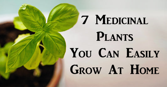 medicinal plants FI