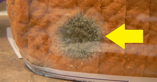 moldy bread FI