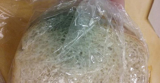 moldy sandwich FI