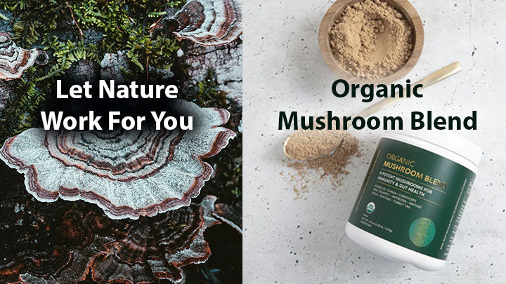 organic mushroom blend FI