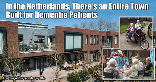 netherlands dementia