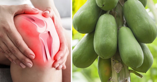 Papaya: 10 Health Benefits