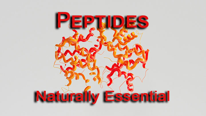 Peptides Support Your Body Naturally! Here's What You Need To Know!