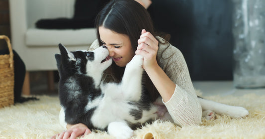 pet-ternity FI
