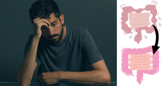 prebiotics anxiety FI_01