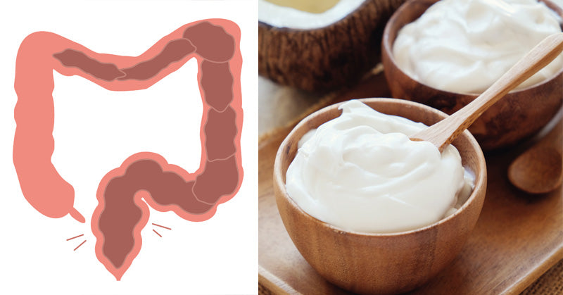 10 Probiotic Yogurt Benefits