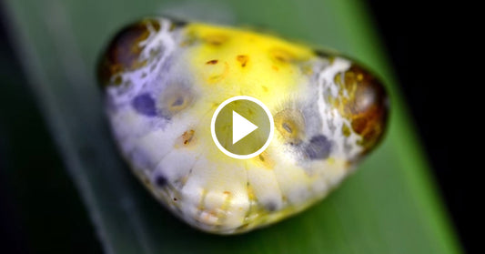 pulsating creature FI